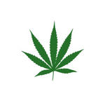 Herbalist Logo