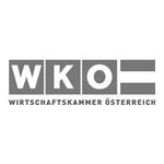 WKÖ - Bundesinnung der Optiker , Orthopädietechniker, Bandagisten u Hörgeräteakustiker Logo