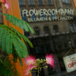 Flower Company 0