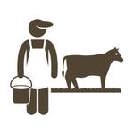 BOA Farm Beef Cattle Logo