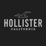 Logo Hollister - SCS