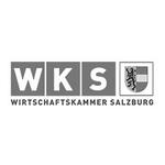 Wirtschaftskammer Salzburg Logo