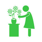 Blumenhaus zum Dom Logo