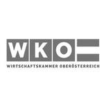 Wirtschaftskammer OÖ - Bezirksstelle Gmunden Büro Bad Ischl Logo