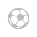 Logo Stadion Ulmerfeld-Hausmening