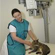 Tierarztpraxis Palme 7