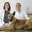 Tierarztpraxis Dr. Copar & Mag. Bregenzer 0