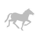 Logo Horse Shop - Reitsportfachgeschäft
