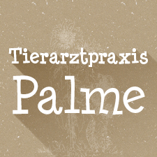 Logo Tierarztpraxis Palme