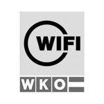 Wifi Wirtschaftsförderungsinstitut d Wirtschaftskammer Österreich Logo