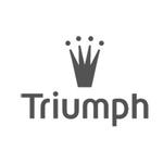 Logo Triumph International