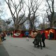 Weihnachtsmarkt im Türkenschanzpark 0